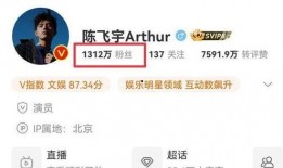 王四粉丝爆料视频大全最新,独家揭秘幕后故事